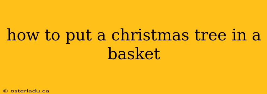 how to put a christmas tree in a basket