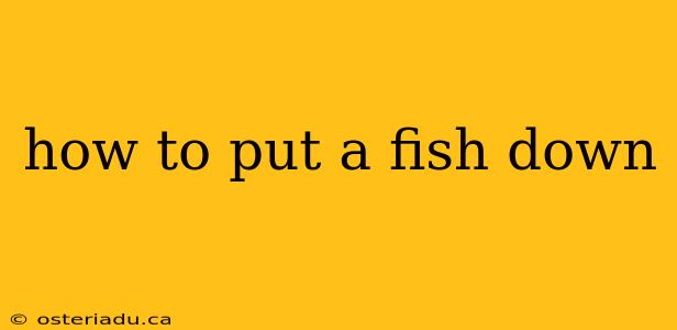 how to put a fish down