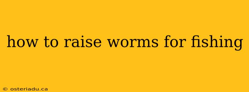 how to raise worms for fishing