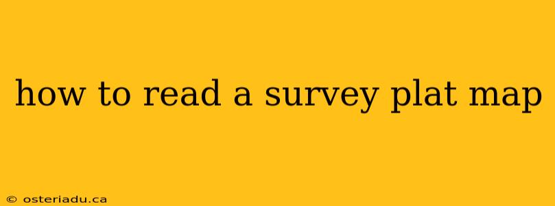 how to read a survey plat map