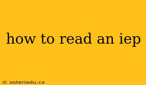 how to read an iep