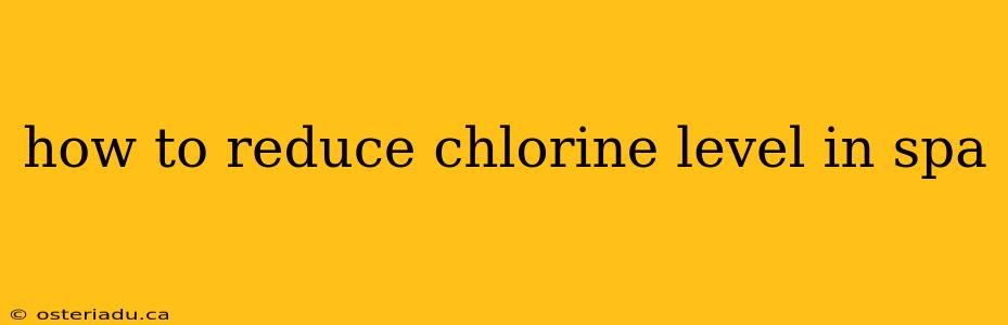 how to reduce chlorine level in spa