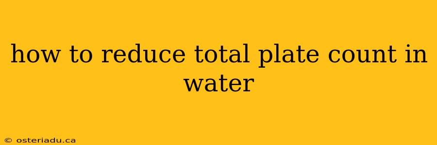 how to reduce total plate count in water