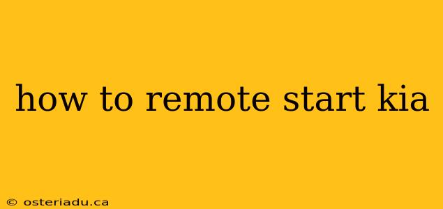 how to remote start kia