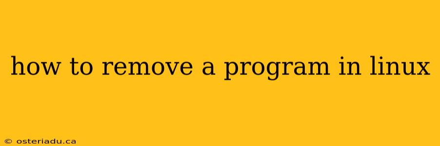 how to remove a program in linux