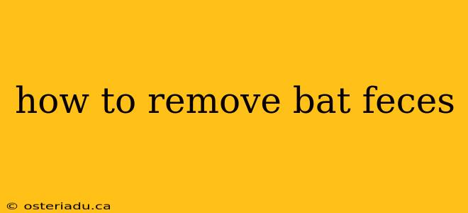 how to remove bat feces