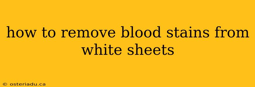 how to remove blood stains from white sheets