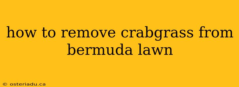 how to remove crabgrass from bermuda lawn