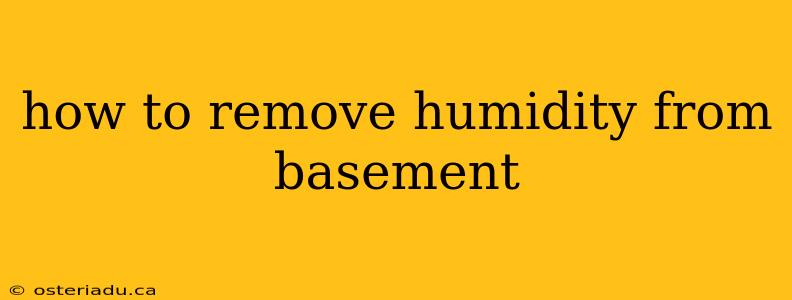 how to remove humidity from basement