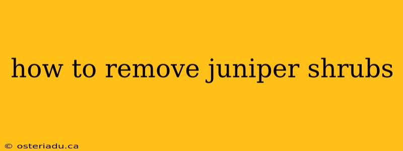 how to remove juniper shrubs