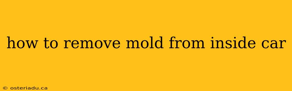 how to remove mold from inside car