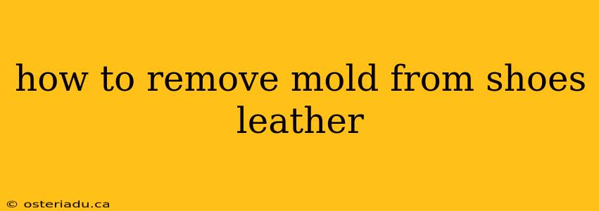 how to remove mold from shoes leather