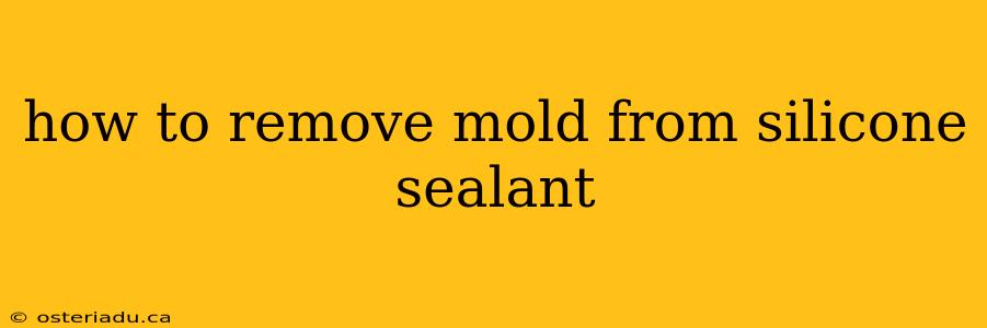 how to remove mold from silicone sealant