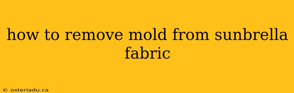 how to remove mold from sunbrella fabric