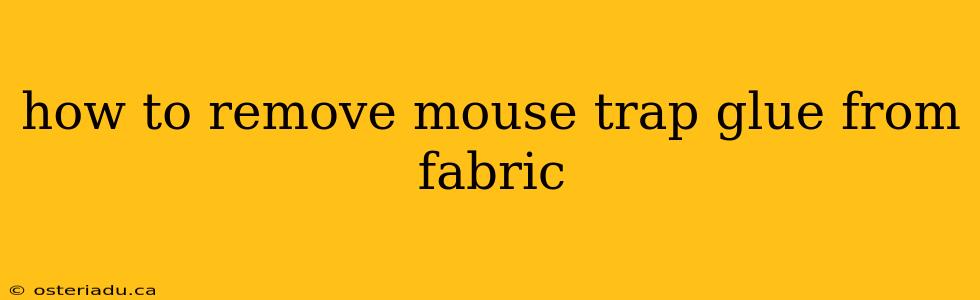 how to remove mouse trap glue from fabric