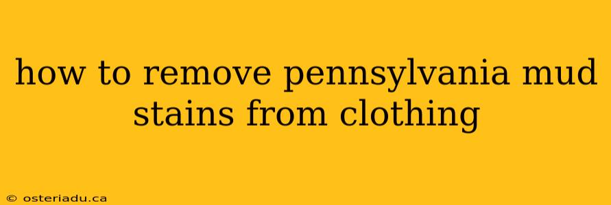 how to remove pennsylvania mud stains from clothing