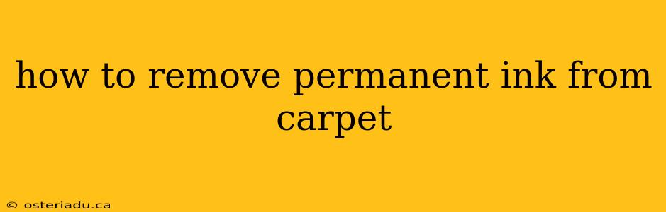 how to remove permanent ink from carpet