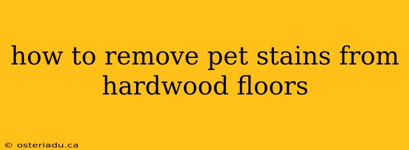 how to remove pet stains from hardwood floors