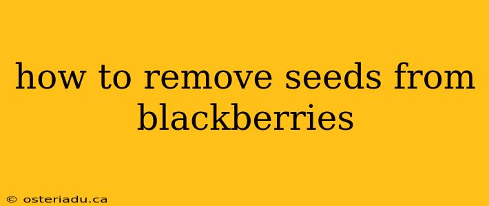 how to remove seeds from blackberries