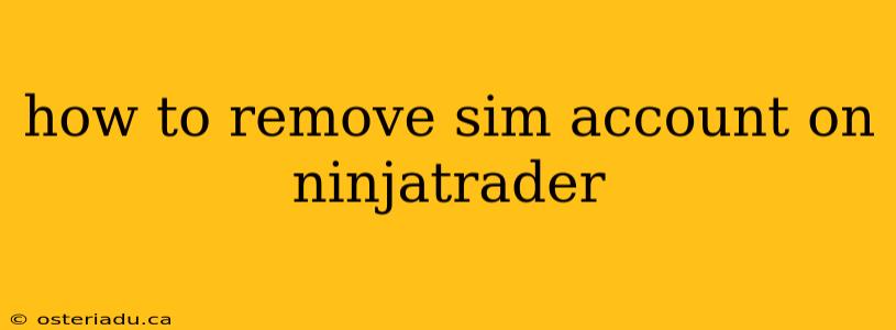 how to remove sim account on ninjatrader