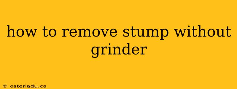 how to remove stump without grinder