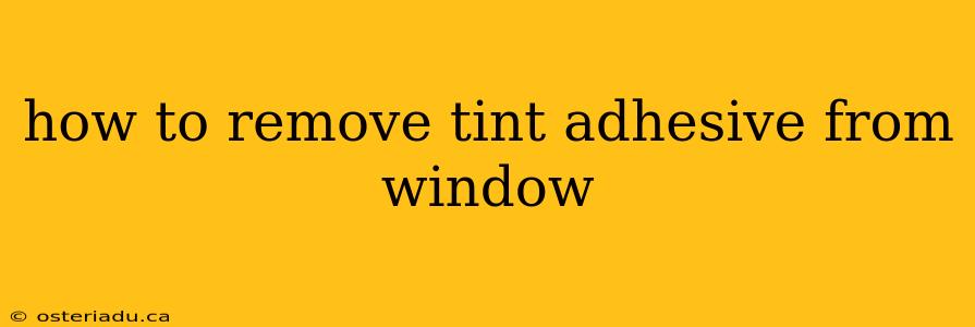 how to remove tint adhesive from window