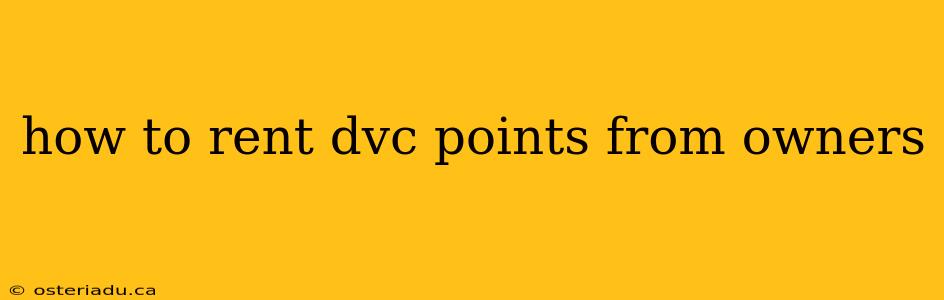 how to rent dvc points from owners