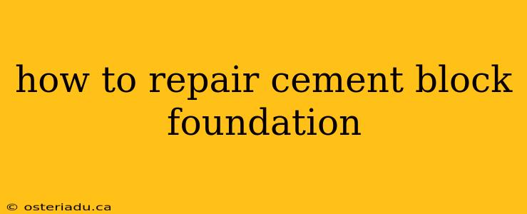 how to repair cement block foundation