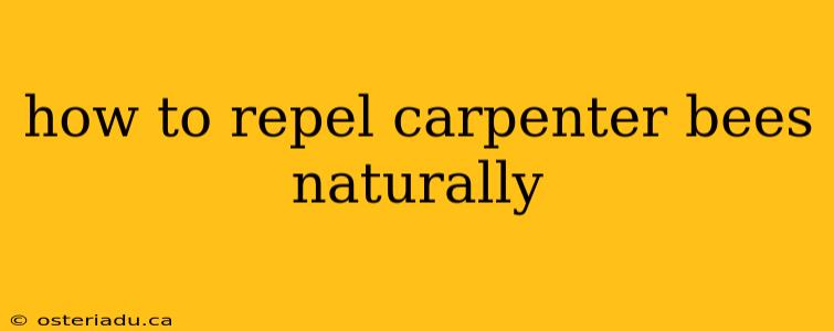 how to repel carpenter bees naturally