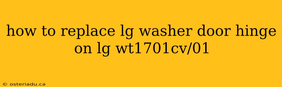 how to replace lg washer door hinge on lg wt1701cv/01