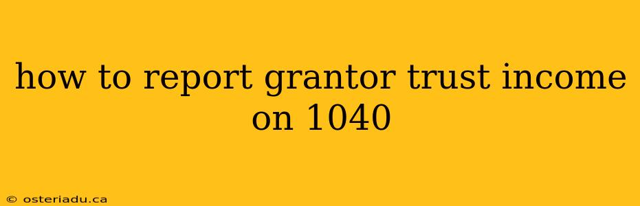 how to report grantor trust income on 1040