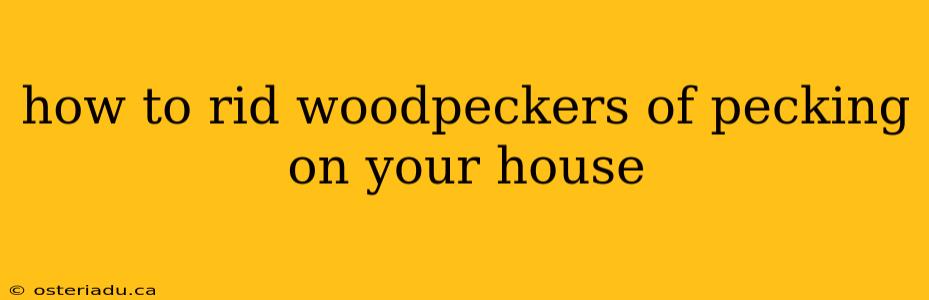 how to rid woodpeckers of pecking on your house