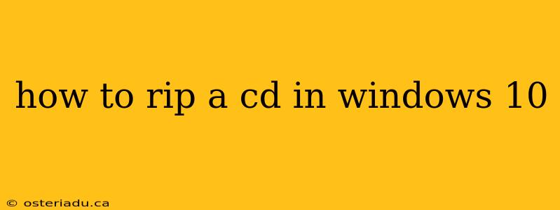 how to rip a cd in windows 10