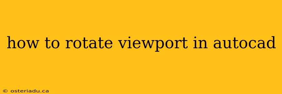 how to rotate viewport in autocad