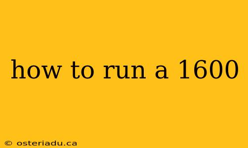 how to run a 1600