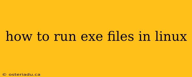 how to run exe files in linux