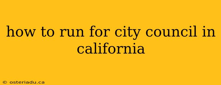 how to run for city council in california