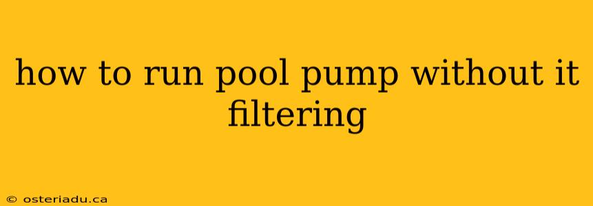 how to run pool pump without it filtering