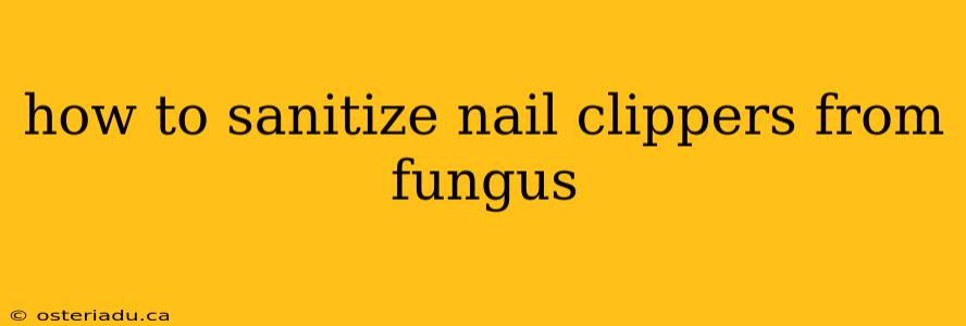 how to sanitize nail clippers from fungus