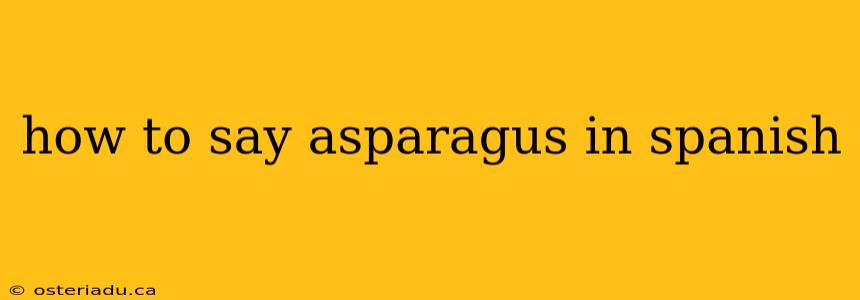 how to say asparagus in spanish