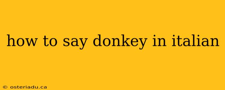 how to say donkey in italian