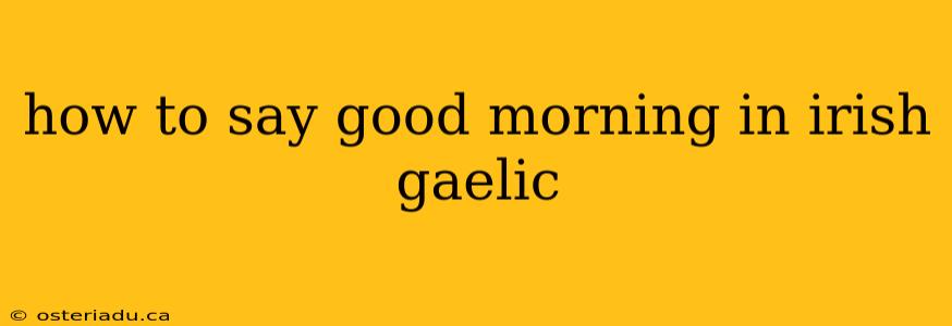 how to say good morning in irish gaelic