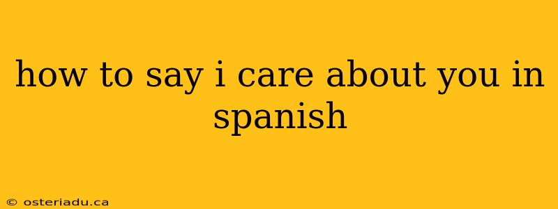 how to say i care about you in spanish