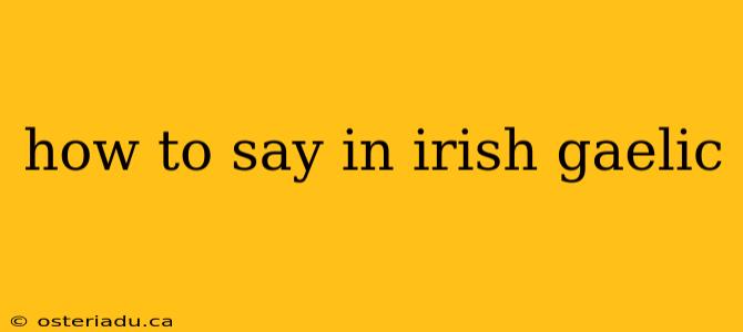 how to say in irish gaelic