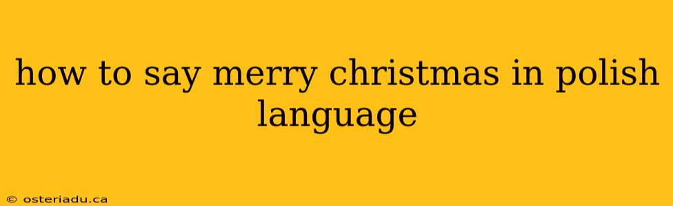 how to say merry christmas in polish language