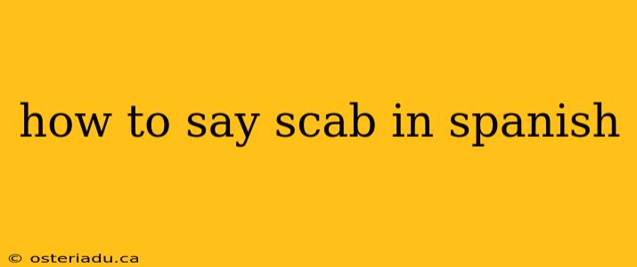 how to say scab in spanish