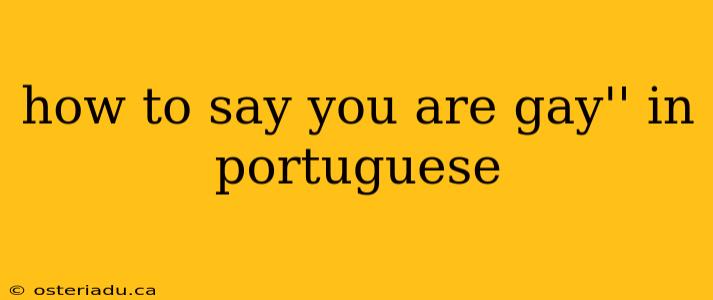 how to say you are gay'' in portuguese