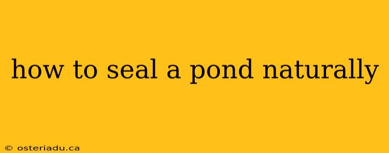 how to seal a pond naturally