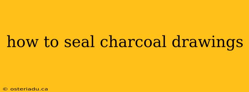 how to seal charcoal drawings