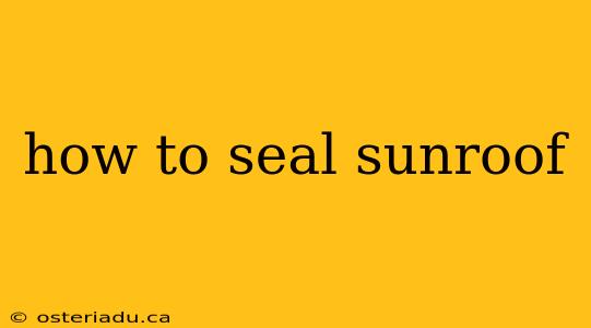 how to seal sunroof